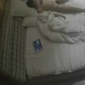 【360】补漏 经典稀有格子房 这个台男人个个都是打桩机投胎的吧 每个都把女友干的大叫