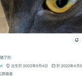 【速報】小坂七香的社群帳號回來啦！ 
